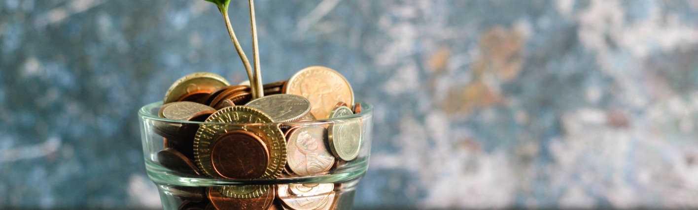 Profitus news What is passive income and how do you get started?