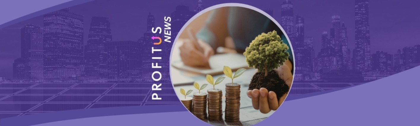 Profitus news Mis on investeerimine? Põhjalik juhend näidetega
